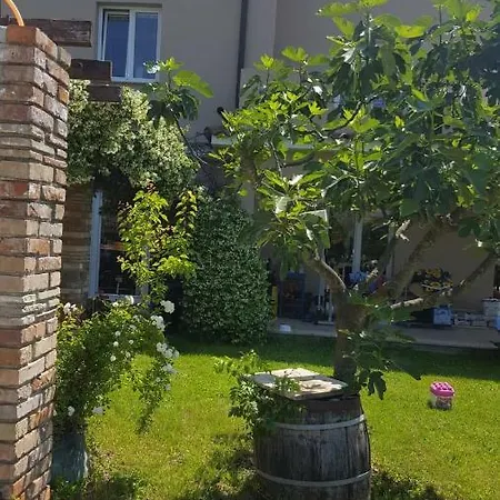 Sara's Apartment